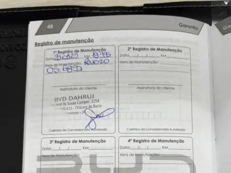 BYD Dolphin , Foto 25