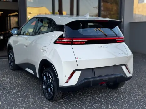 BYD Dolphin Mini 38 KW EL�TRICO, Foto 9