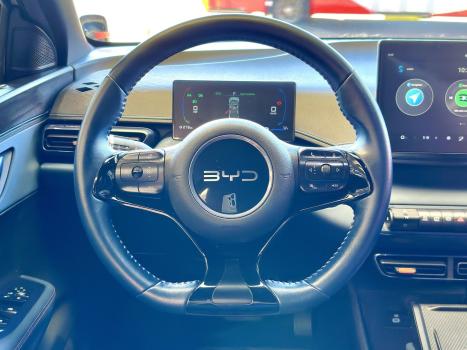 BYD Dolphin Mini 38 KW EL�TRICO, Foto 16