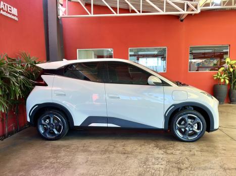 BYD Dolphin Mini 38 KW EL�TRICO, Foto 7