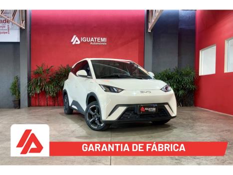BYD Dolphin Mini 38 KW EL�TRICO, Foto 1