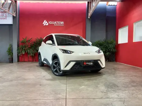 BYD Dolphin Mini 38 KW EL�TRICO, Foto 19