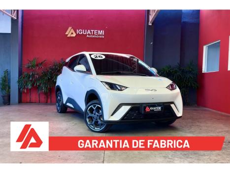 BYD Dolphin Mini 38 KW EL�TRICO, Foto 1