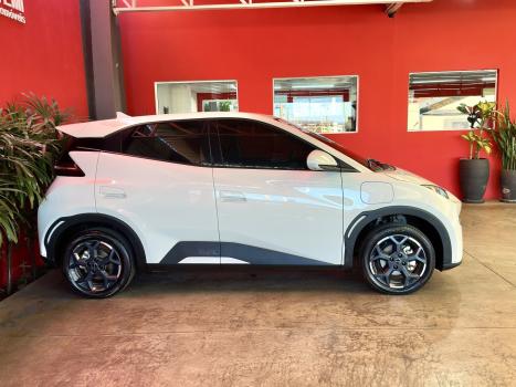 BYD Dolphin Mini 38 KW EL�TRICO, Foto 17