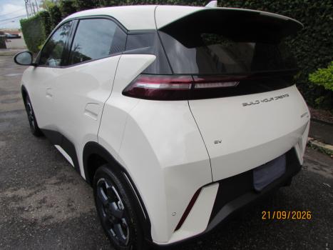 BYD Dolphin Mini 38 KW ELÉTRICO GS, Foto 8