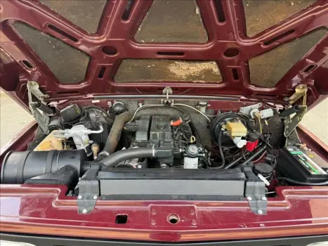 CHEVROLET Bonanza 4.0 8V L CUSTOM, Foto 10