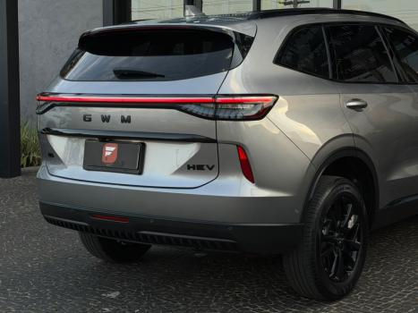 GWM Haval H6 1.5 16V 4P PHEV AWD E-TRATION AUTOM�TICO, Foto 8