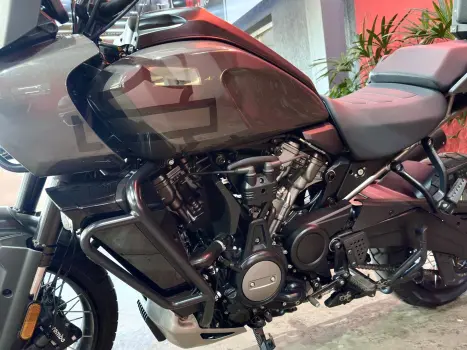 HARLEY DAVIDSON Pan America 1250 , Foto 15