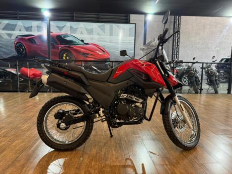 SHINERAY SHI 175 , Foto 4