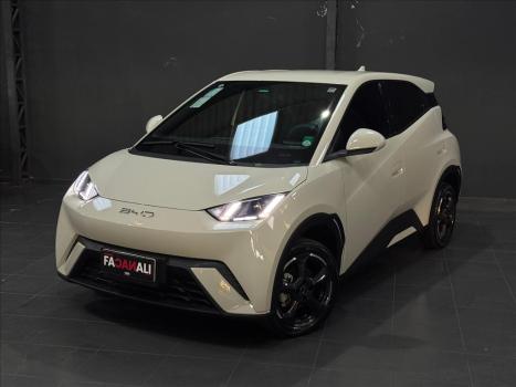 BYD Dolphin 44,9 KW ELTRICO, Foto 1