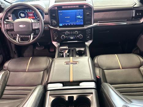 FORD F-150 5.0 V8 24V FX4 PLATINUM CABINE DUPLA AUTOMTICO, Foto 2