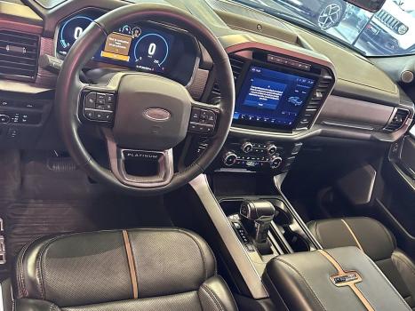 FORD F-150 5.0 V8 24V FX4 PLATINUM CABINE DUPLA AUTOMTICO, Foto 10