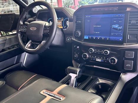 FORD F-150 5.0 V8 24V FX4 PLATINUM CABINE DUPLA AUTOMTICO, Foto 13