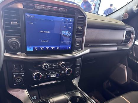 FORD F-150 5.0 V8 24V FX4 PLATINUM CABINE DUPLA AUTOMTICO, Foto 14