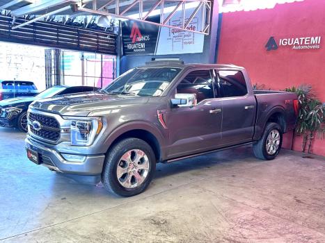 FORD F-150 5.0 V8 24V FX4 PLATINUM CABINE DUPLA AUTOMTICO, Foto 15
