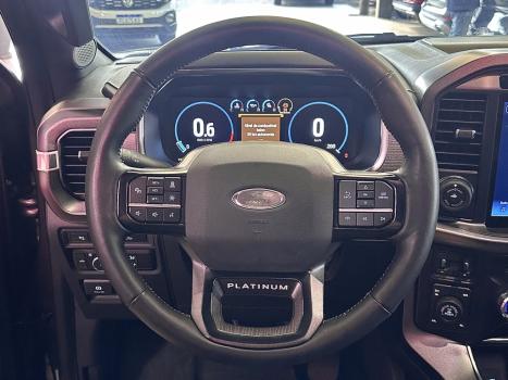FORD F-150 5.0 V8 24V FX4 PLATINUM CABINE DUPLA AUTOMTICO, Foto 23