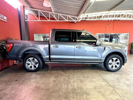 FORD F-150 5.0 V8 24V FX4 PLATINUM CABINE DUPLA AUTOMTICO, Foto 26