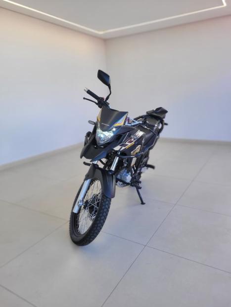 HONDA XRE 300 ADVENTURE, Foto 2
