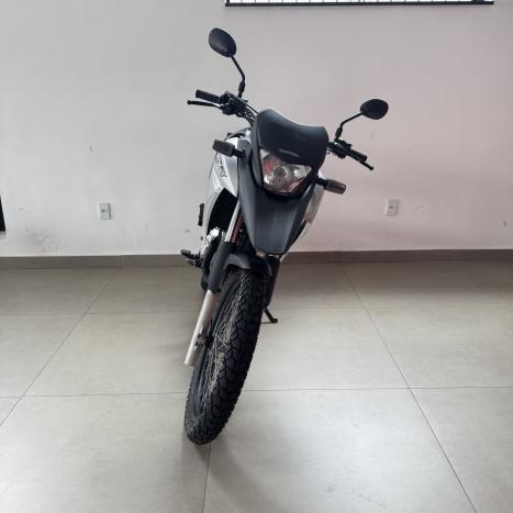 HONDA XRE 300 FLEX, Foto 2