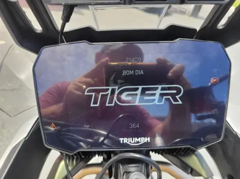 TRIUMPH Tiger 900 RALLY PR, Foto 6
