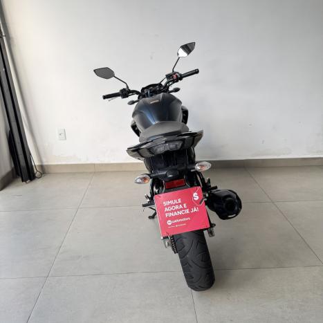 YAMAHA FZ 25 250 Fazer Flex , Foto 5