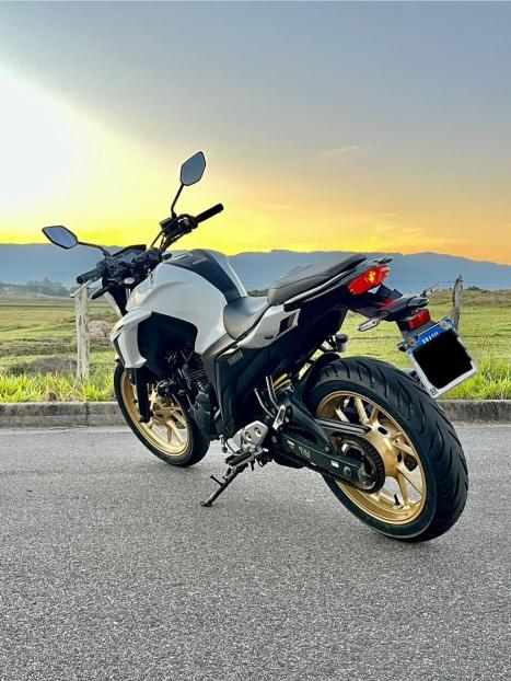 YAMAHA FZ 25 250 Fazer Flex , Foto 3