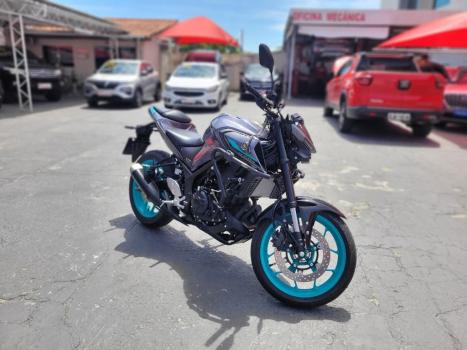 YAMAHA MT-03 300 ABS, Foto 3