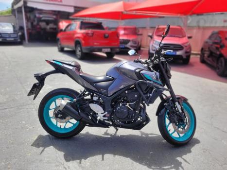 YAMAHA MT-03 300 ABS, Foto 5