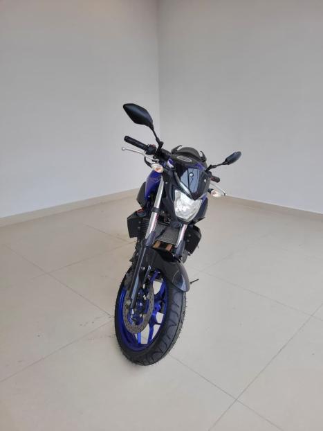 YAMAHA MT-03 300 ABS, Foto 2