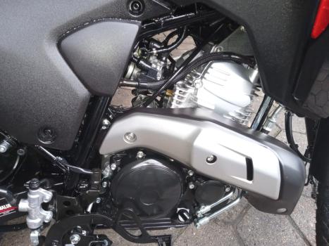 YAMAHA XTZ 250 LANDER, Foto 2