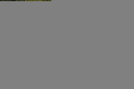 NISSAN Versa Sedan 1.6 16V 4P FLEX SV, Foto 2
