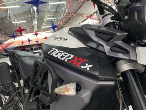 TRIUMPH Tiger 800 XCX, Foto 6