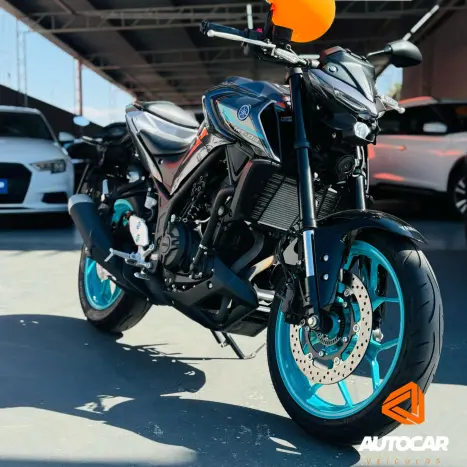 YAMAHA MT-03 300 ABS, Foto 2