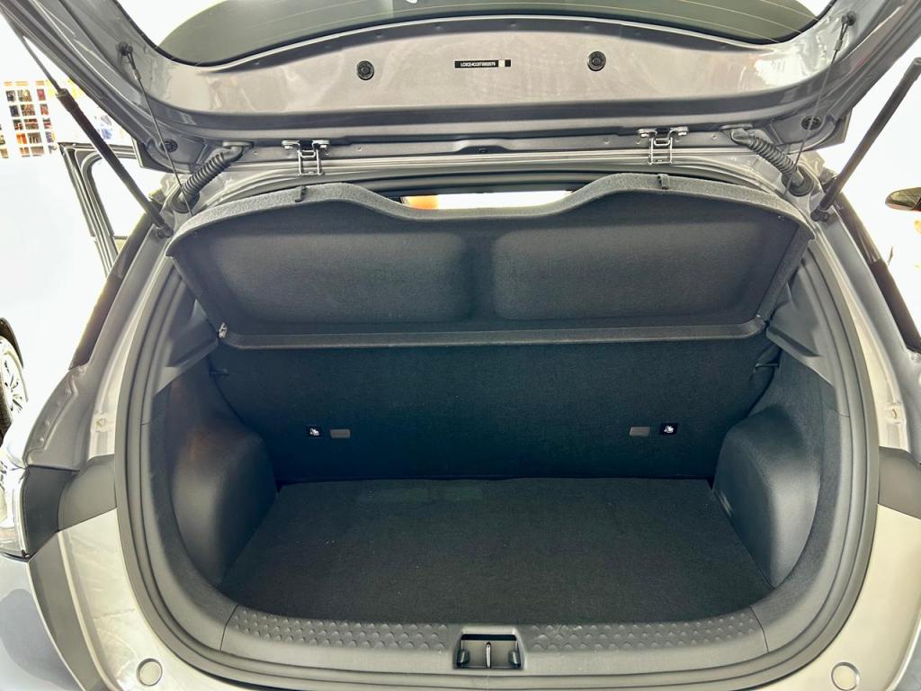 BYD Dolphin - Miniatura