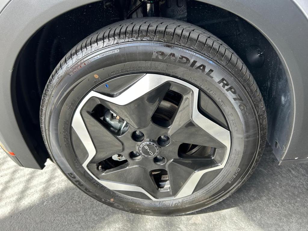 BYD Dolphin - Miniatura