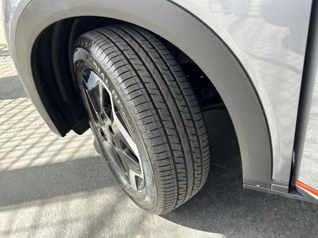 BYD Dolphin - Foto