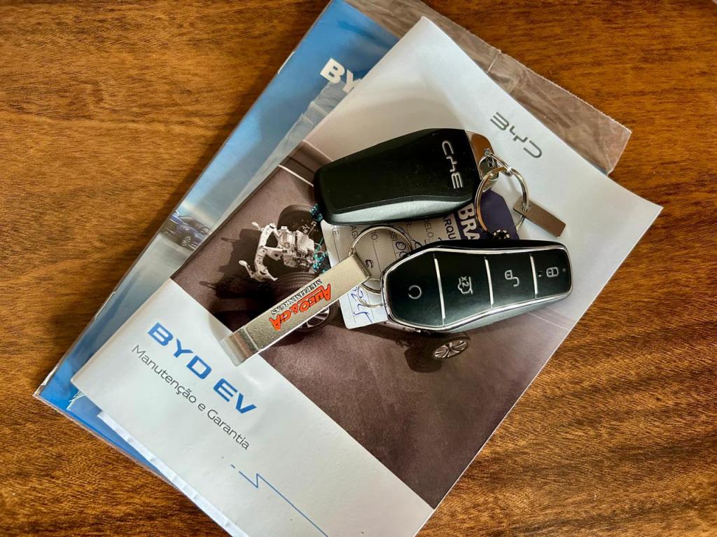 BYD Dolphin - Miniatura