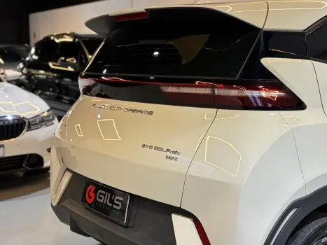 BYD Dolphin 44,9 KW EL�TRICO GS, Foto 12