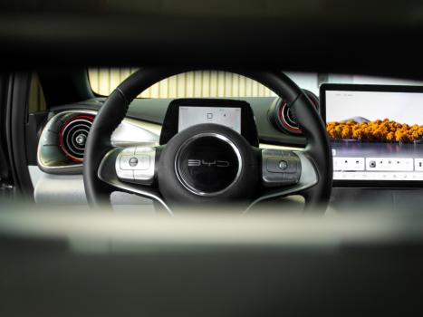 BYD Dolphin , Foto 11