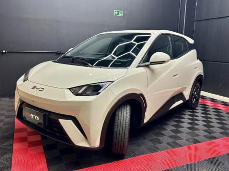 BYD Dolphin Mini 38 KW EL�TRICO, Foto 2