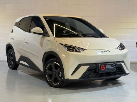 BYD Dolphin Mini 38 KW EL�TRICO GS, Foto 1