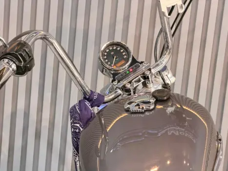 HARLEY DAVIDSON Sportster XL 1200 , Foto 13