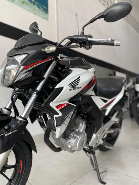 HONDA CB 250 F Twister FLEXONE, Foto 2