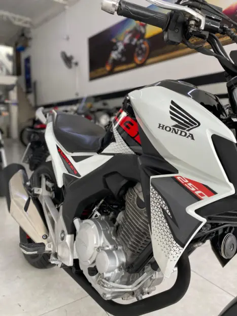 HONDA CB 250 F Twister FLEXONE, Foto 3