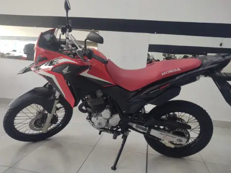 HONDA XRE 300 RALLY ABS, Foto 7