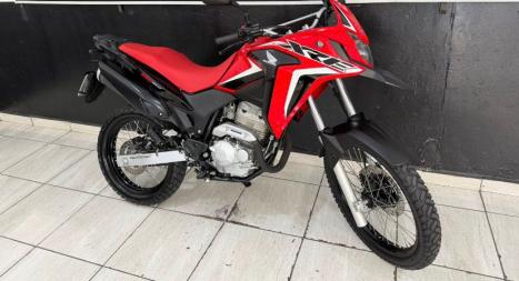 HONDA XRE 300 RALLY ABS, Foto 1