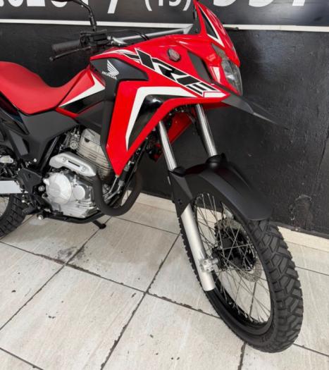 HONDA XRE 300 RALLY ABS, Foto 3