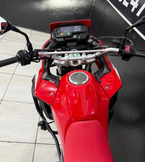 HONDA XRE 300 RALLY ABS, Foto 5