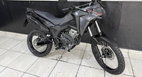 HONDA XRE 300 Sahara , Foto 4