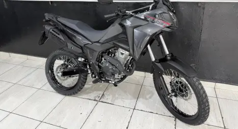 HONDA XRE 300 Sahara , Foto 11